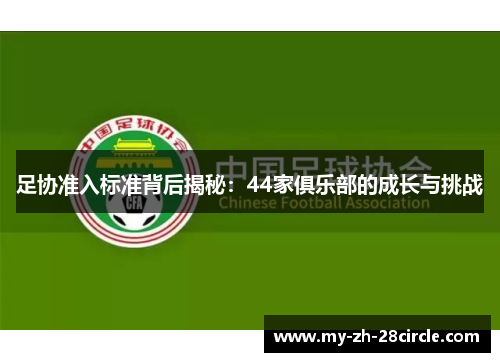 足协准入标准背后揭秘：44家俱乐部的成长与挑战